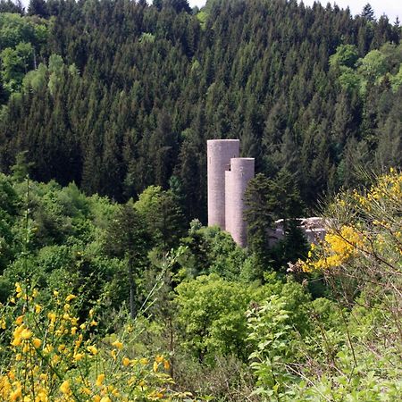 Fewo Purper Frauenberg Bagian luar foto