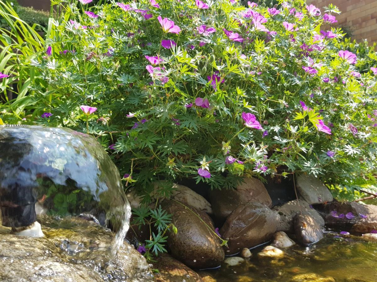 Fewo Purper Frauenberg Bagian luar foto