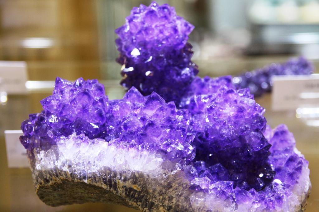 Fewo Purper Frauenberg Bagian luar foto