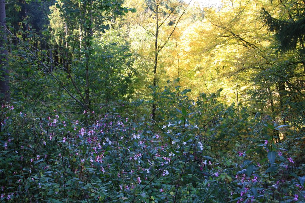 Fewo Purper Frauenberg Bagian luar foto