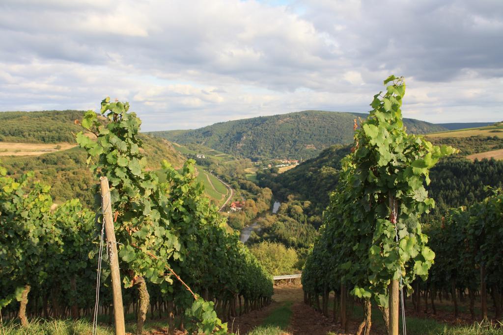 Fewo Purper Frauenberg Bagian luar foto
