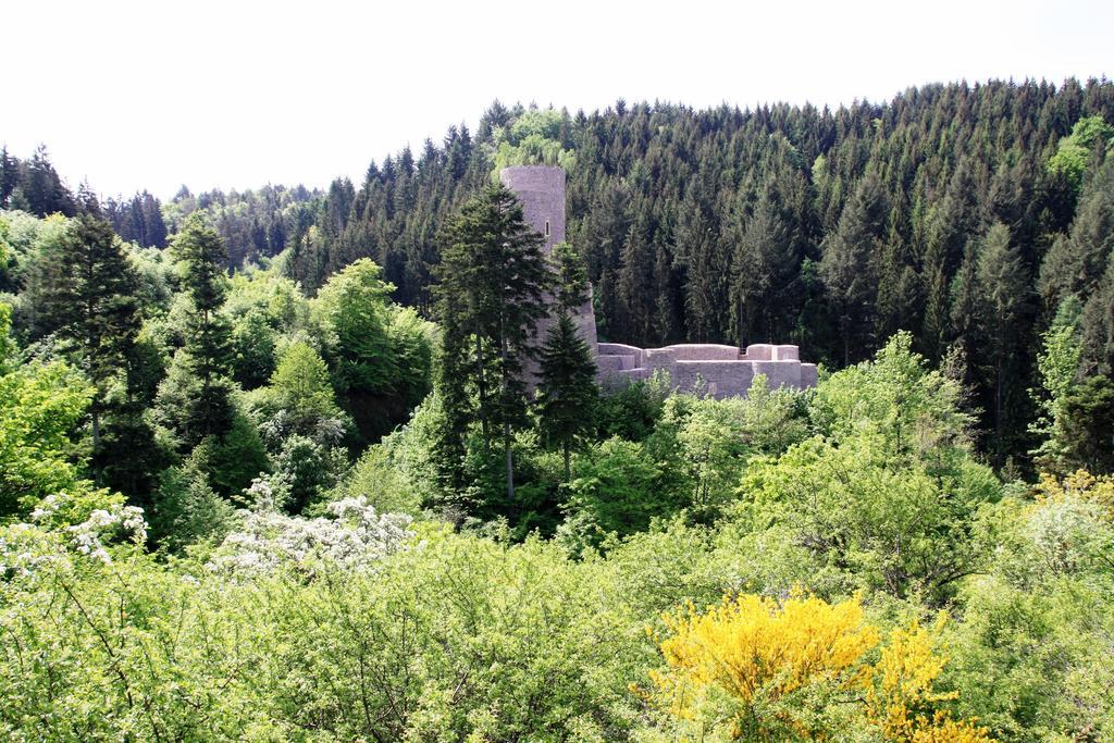 Fewo Purper Frauenberg Bagian luar foto